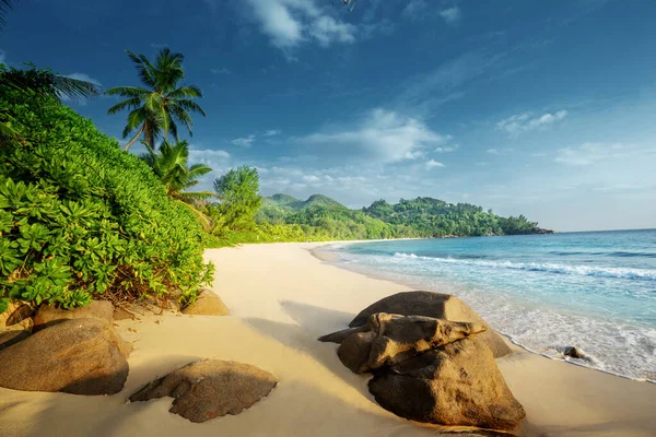 Strand Mahe Szigeten Seychelles — Stock Fotó