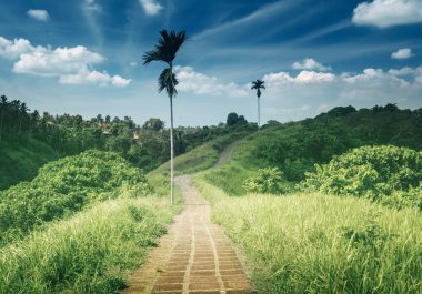 Capuhan dağ yürüyüşü, Ubud, Bali, Endonezya