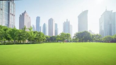 Hiper hata, Lujiazui finans merkezine park etmek, Şangay, Çin