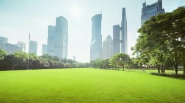Hiper hata, Lujiazui finans merkezine park etmek, Şangay, Çin