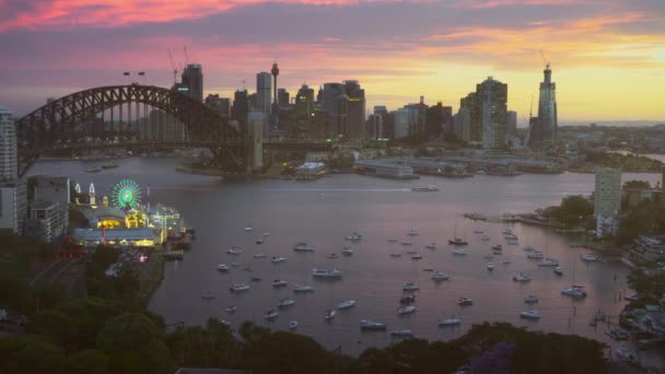 Ηλιοβασίλεμα Λιμάνι Του Σίδνεϊ Νέα Νότια Ουαλία Αυστραλία — Αρχείο Βίντεο