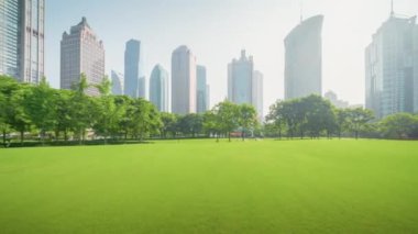 Hiper hata, Lujiazui finans merkezine park etmek, Şangay, Çin