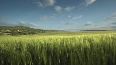 İtalya, Toskana 'da yaz güneşli bir gün..