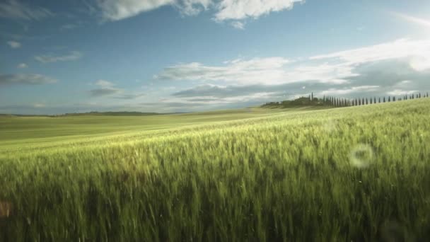 Идеальный Летний Пейзаж Тосканы Италия — стоковое видео
