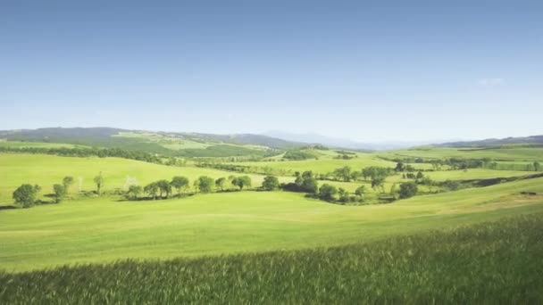 Perfekt Sommar Toscana Landskap Italien — Stockvideo