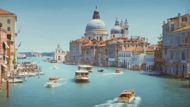 Büyük Kanal Bazilika Santa Maria Della Salute Venedik Talya — Stok video