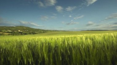 mükemmel yaz Toskana manzarası, İtalya