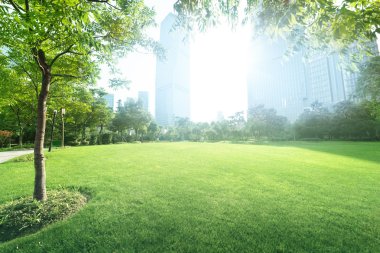 güneşli bir gün Park