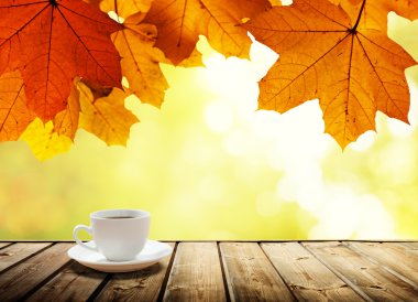 fincan kahve ve sonbahar orman