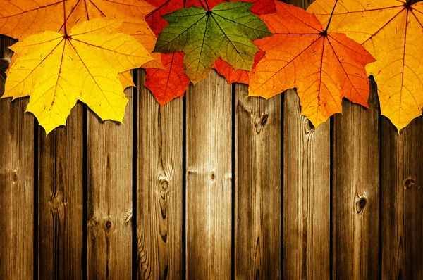 Drewniane tło z jesiennymi liśćmi klonu — Zdjęcie stockowe