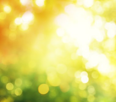 sonbahar orman bokeh