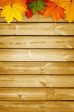 Sonbahar akçaağaç yapraklı ahşap zemin