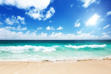 Seyşeller beach