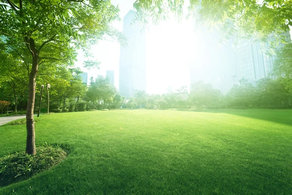 Sunny day in park — Stock Photo, Image