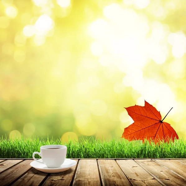 Copo de café e floresta de outono — Fotografia de Stock