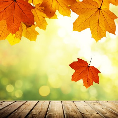 fincan kahve ve güneşli ağaçlar arka plan