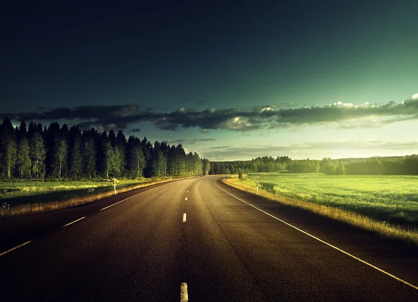 Camino de asfalto en el bosque — Foto de Stock