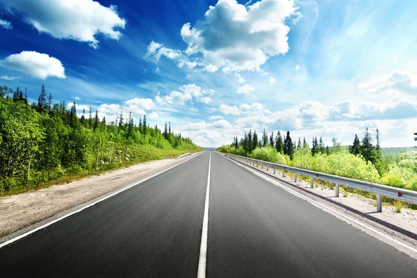 Road in north forest — Stock Photo, Image