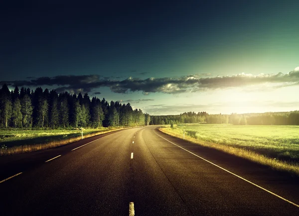 Asphalt road in forest — Stock Photo, Image