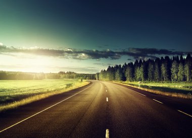 yol asfalt orman