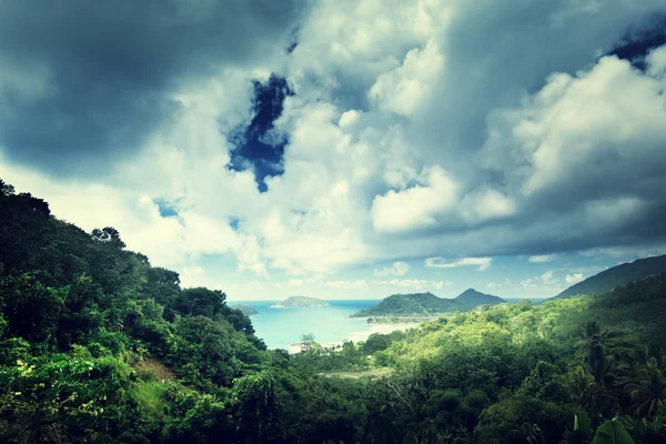 Jungle des Seychelles île — Photo