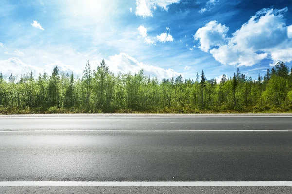 Route asphaltée et forêt — Photo