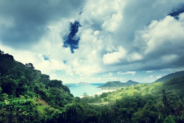 Selva de ilha de Seychelles — Fotografia de Stock