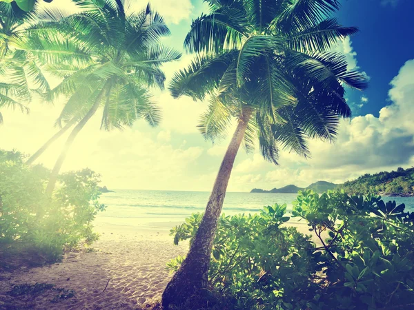Pôr do sol na praia, ilha de Mahe, seicheles — Fotografia de Stock