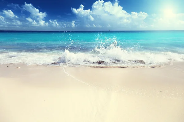 Sand of beach caribbean sea — Stock Photo, Image