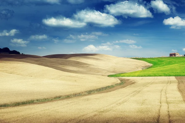 Tuscany hills, Italy Stock Image