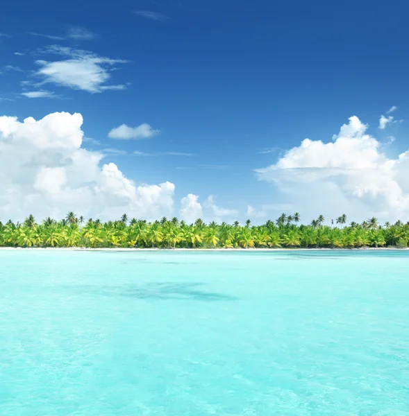 Palmen am karibischen Strand auf der Insel Katalonien — Stockfoto