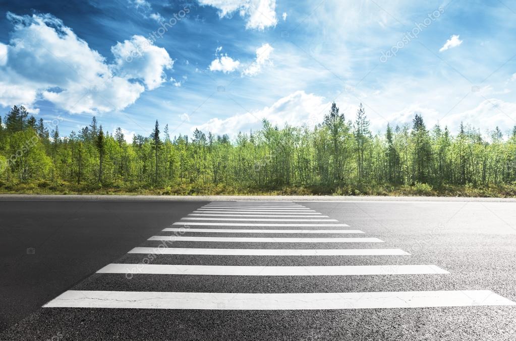 asphalt road in forest