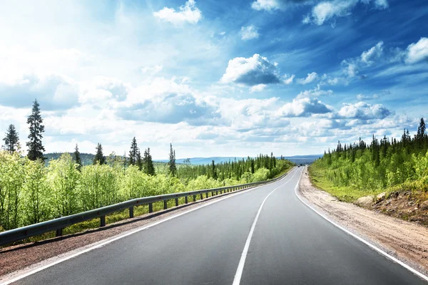 Road in north forest — Stock Photo, Image