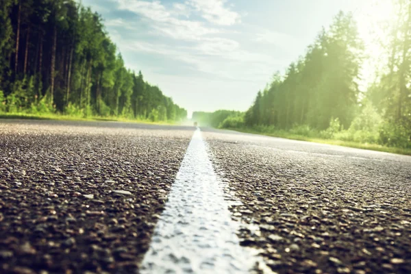 Road in sunny forest (shallow DOF) — Stock Photo, Image