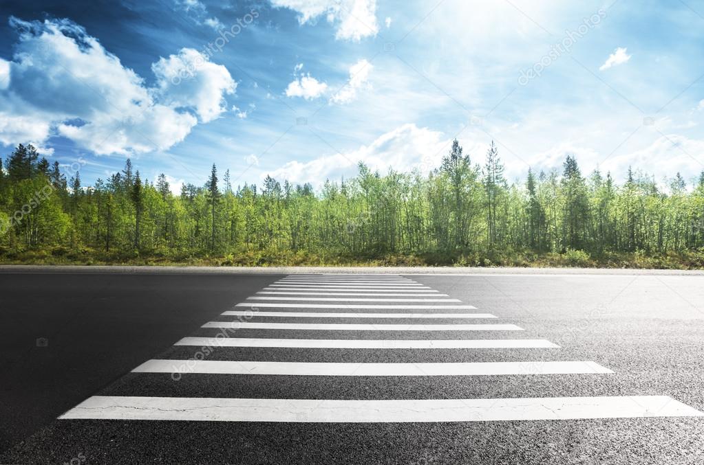 asphalt road in forest