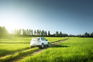Bahar alan ve toprak yolda araba bulanık