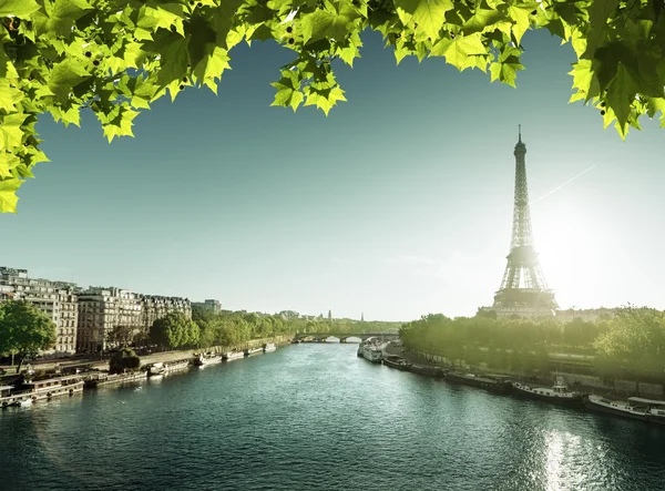 Torre Eiffel al amanecer —  Fotos de Stock