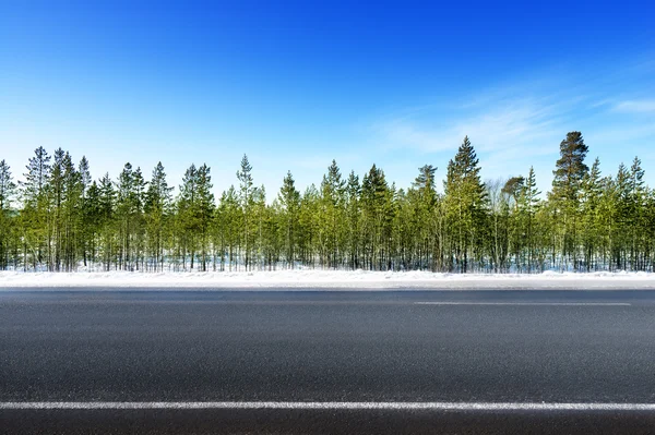 Carretera en bosque de invierno — Foto de Stock