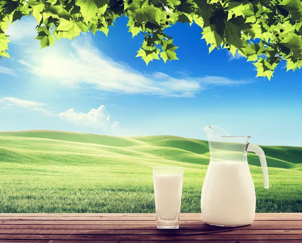 Milk and sunny spring field — Stock Photo, Image