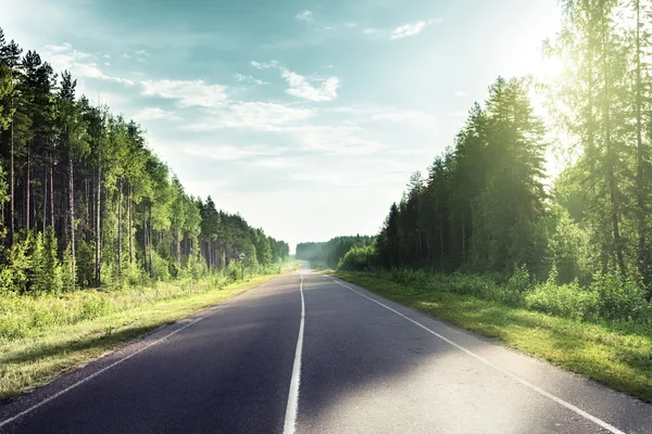 Weg in zonnige bos — Stockfoto