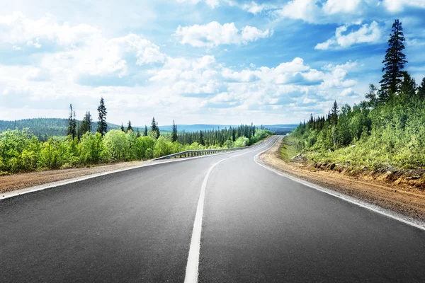 Route en forêt de montagne — Photo