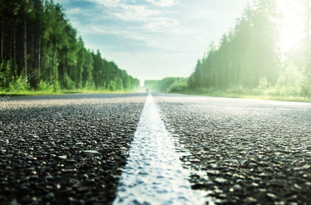 road in sunny forest (shallow DOF)