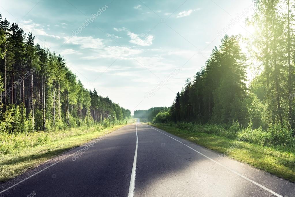 road in sunny forest