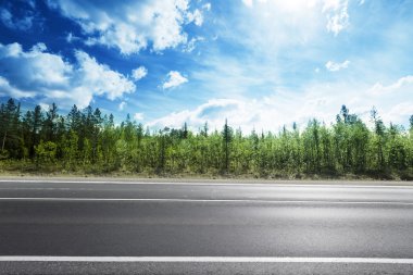 dağ orman yol