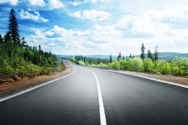 dağ orman yol