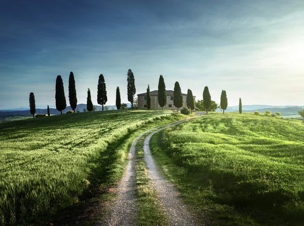 Klassieke Toscaanse uitzicht in de lentetijd zonsondergang, Pienza, Italië — Stockfoto