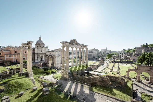 붉은 빛이 감도는 로마의 폐허 — 스톡 사진