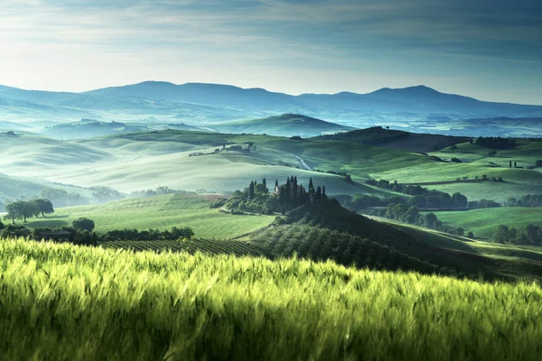 Tôt le matin de printemps en Toscane, Italie — Photo