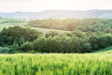 Toskana günbatımı, İtalya