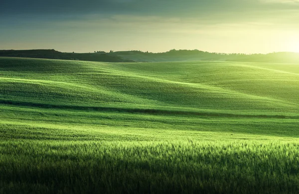 Tuscany sunset, Italy — Stock Photo, Image